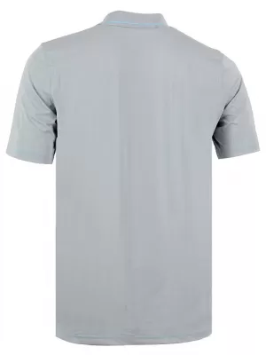 Herren-T-Shirt mit Kragen ALPINE PRO ISTAS HELLGRAU