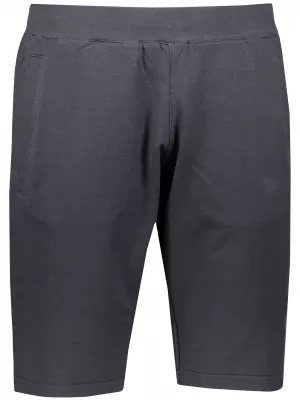 Shorts ALPINE PRO KARL 3 MPAN337 GRAU