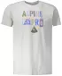 Hemd ALPINE PRO ABIC 7 MTSP404 GRAU