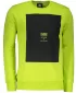 Herren -Sweatshirt OMBRE AB1045 GRÜN