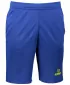 Herrenshorts ALTISPORT ALM006612 KÖNIGSBLAU