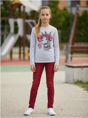 Girl's T -Shirt mit langen Ärmeln SAM 73 AGNES GT 555 HELLGRAU