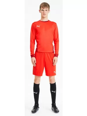 Herrenshorts PUMA TEAMGOAL 23 KNIT SHORTS 704262-01 PUMA ROT