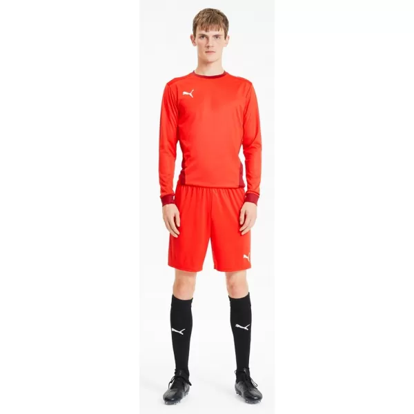  Herrenshorts PUMA TEAMGOAL 23 KNIT SHORTS 704262-01 PUMA ROT 