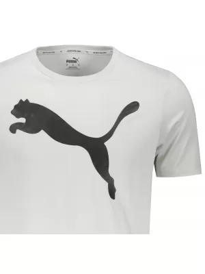 Herren-T-Shirt PUMA ACTIVE BIG LOGO TEE 586724-09 GRAU