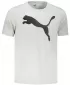 Herren-T-Shirt PUMA ACTIVE BIG LOGO TEE 586724-09 GRAU