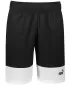 Herrenshorts PUMA POWER COLORBLOCK WOVEN SHORTS 9 848819-01 SCHWARZ