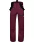 Herren-Skihose NORDBLANC SLALOM NBWP7766 BURGUND