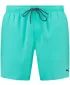 Herrenshorts PUMA SWIM MEN MEDIUM LENGTH SWIM SHORTS 1P 907660-19 GRÜN