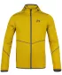 Herren-Sweatshirt HANNAH DAMAR HOODY CITRONELLA-MINZE