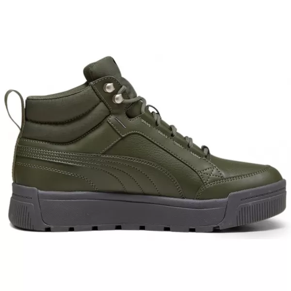  Herrenschuhe PUMA TARRENZ SB III PURETEX 393930-03 GRÜN 