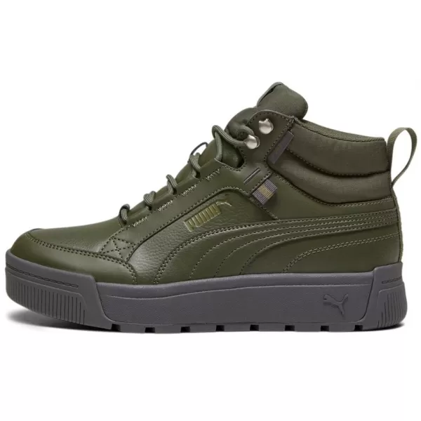  Herrenschuhe PUMA TARRENZ SB III PURETEX 393930-03 GRÜN 