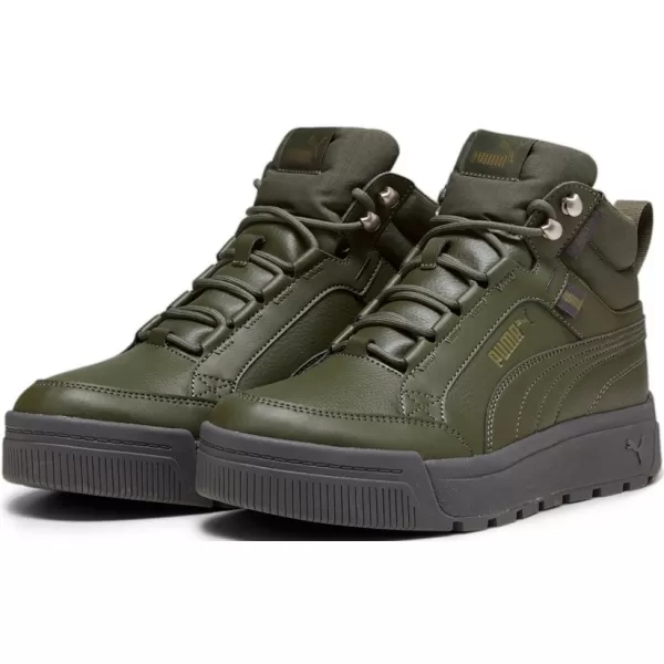  Herrenschuhe PUMA TARRENZ SB III PURETEX 393930-03 GRÜN 