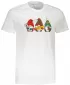 Herren-T-Shirt ALTISPORT VANOCE04M129 WEIß