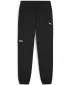 Herrenhosen PUMA DESERT ROAD CARGO PANTS 678923-01 SCHWARZ