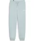 Damenhosen PUMA ESS+ SMALL LOGO HW PANTS TR 678744-22 BLAU