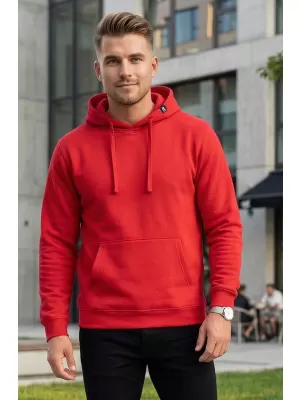 Herren-Sweatshirt ALTISPORT NoPrint NP/ALM679NJ HRSG