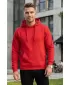 Herren-Sweatshirt ALTISPORT NoPrint NP/ALM679NJ HRSG