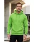 Herren-Sweatshirt ALTISPORT NoPrint NP/ALM679NJ LINDGRÜN