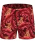 Badeshorts für Herren NORDBLANC RAINFOREST NBSPM8019 ROT