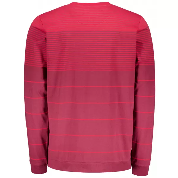  Herren-T-Shirt ALTISPORT DAIRUS BURGUND 