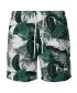 Shorts URBAN CLASSICS TB2679 PALMBLÄTTER