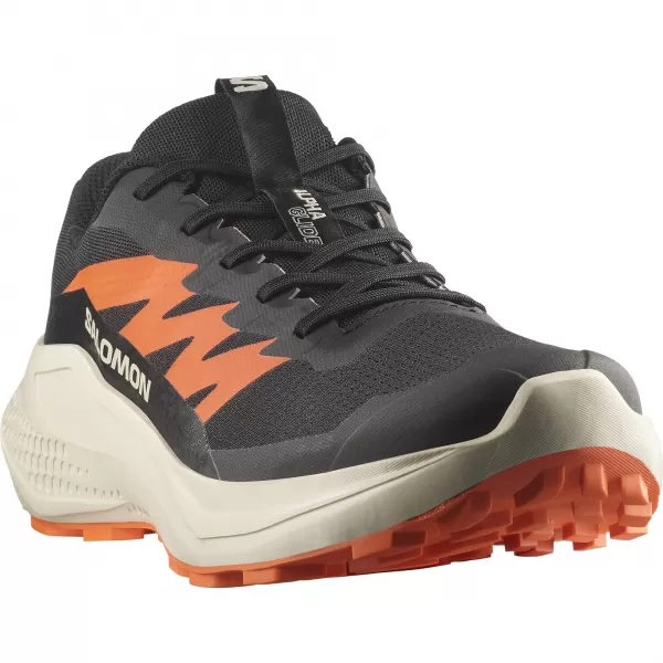  Herrenschuhe SALOMON ALPHAGLIDE L47801100 SCHWARZ/REGENTAG/ROTORANGE 