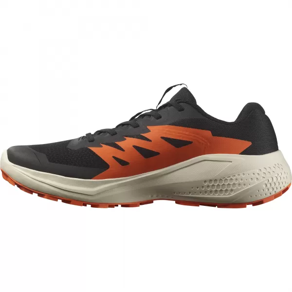  Herrenschuhe SALOMON ALPHAGLIDE L47801100 SCHWARZ/REGENTAG/ROTORANGE 
