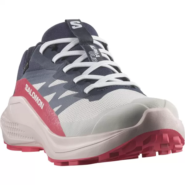  Damenschuhe SALOMON ALPHAGLIDE GTX W L47802300 MONDGESTEIN/BLAUE NÄCHTE/ROUGEROT 