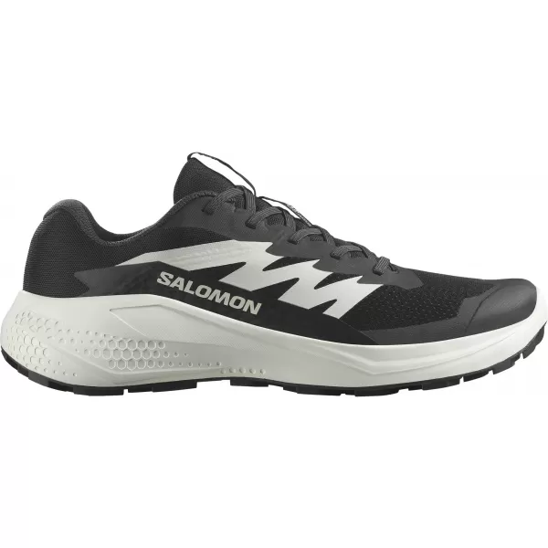  Herrenschuhe SALOMON ALPHAGLIDE L47801000 SCHWARZ/PHANTOM/EISZAPFEN 