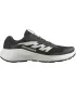 Herrenschuhe SALOMON ALPHAGLIDE L47801000 SCHWARZ/PHANTOM/EISZAPFEN