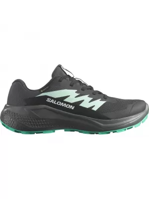 Damenschuhe SALOMON ALPHAGLIDE GTX W L47802400 PHANTOM/URBAN CHIC/WASSERFALL