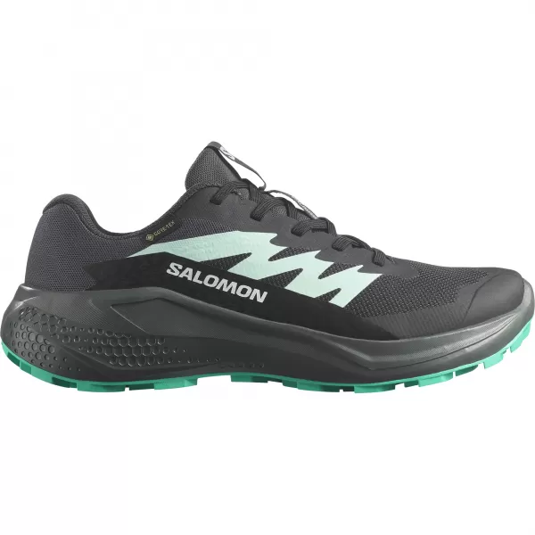  Damenschuhe SALOMON ALPHAGLIDE GTX W L47802400 PHANTOM/URBAN CHIC/WASSERFALL 