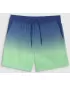 Shorts 4F WSS25UBDSM132 HELLGRÜN