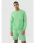 Herren -Sweatshirt 4F RSS25TSWSM2149 HELLGRÜN