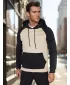 Herren -Sweatshirt DSTREET BX5890 BEIGE