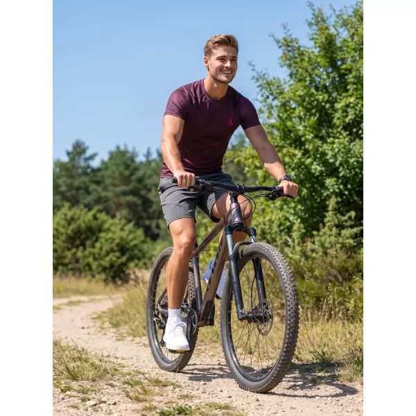  Funktionelle Komprimierung t -Shirt von Männern mit kurzer Ärmelnprämie ALTISPORT VOJ/ALM072TR04 WEINRÖTET 