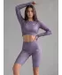 Funktionaler Ernteoberteil der Frauen mit langen Ärmeln Premium ALTISPORT VOJ/ALW072TR04 LILA