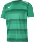 Herren -funktionales Hemd PUMA TEAMVISION JERSEY 704921_05 PFEFFERGREEN/POWERGREEN/WEIß