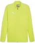 Jacke PUMA TEAMFINAL TRAINING JACKET 658554_30 ELECTRIC LIME/ ELEKTRISCHES KALK/PUMA SILBER