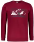 Herren -Sweatshirt ALTISPORT ALM190406 GRANAT