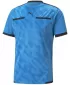 Fußballtrikot PUMA TEAMLIGA REFEREE JERSEY 705452_18 BLEU AZUR/ BLEU AZUR/PUMA BLACK