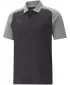 Herren t -Shirt mit einem Kragen PUMA TEAMCUP CASUALS POLO 657991_03 PUMA SCHWARZ