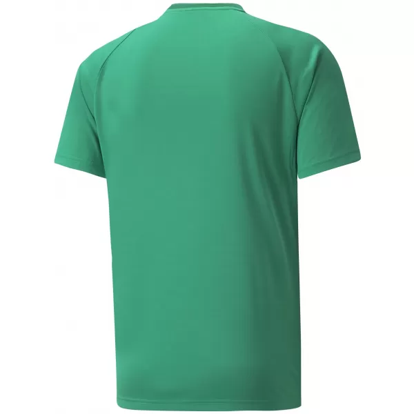  Herren -funktionales Hemd PUMA TEAMVISION JERSEY 704921_05 PFEFFERGREEN/POWERGREEN/WEIß 