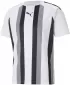 Herren -funktionales Hemd PUMA TEAMLIGA STRIPED JERSEY 704920_04 PUMA WHITE/PUMA BLACK