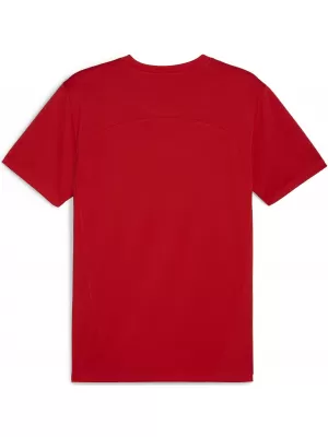 Herren -funktionales Hemd PUMA TEAMFINAL TRAINING JERSEY 658557_01 PUMA ROT/PUMA SILBER