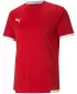 Fußballtrikot PUMA TEAMLIGA JERSEY 704917_01 PUMA ROT/PUMA WEIß
