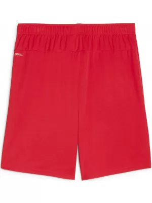 Shorts PUMA TEAMGOAL SHORTS 705752_01 PUMA ROT/PUMA WEIß