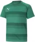 Kinder T-Shirt PUMA TEAMVISION JERSEY JR 704928_05 PFEFFERGREEN/POWERGREEN/WEIß