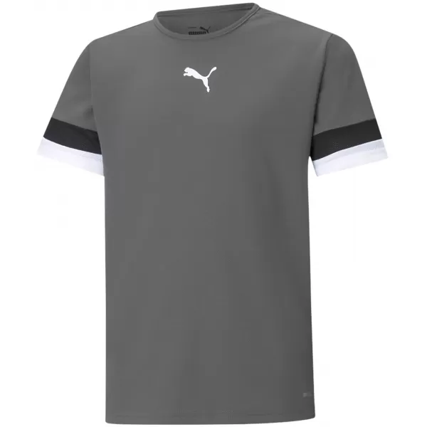  Kinderfußballtrikot PUMA TEAMRISE JERSEY JR 704938_13 GERÄUCHERTER PERLE/SCHWARZ/WEIß 